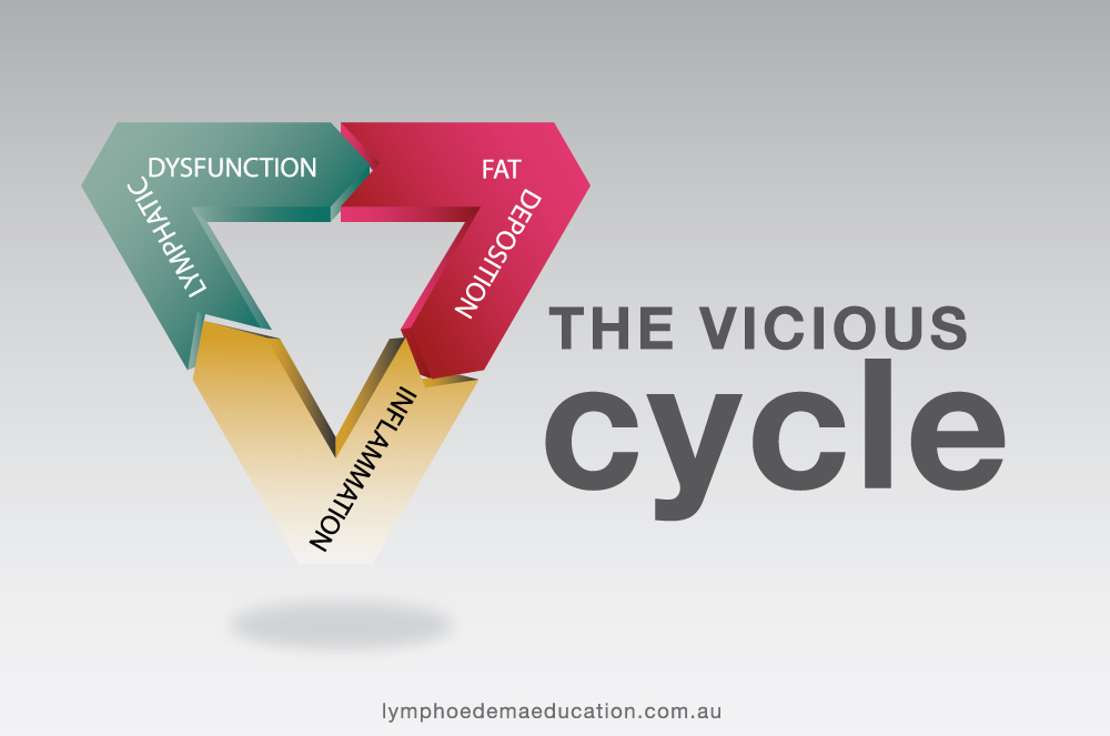 the-vicious-cycle-01
