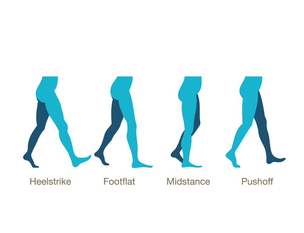 calfpump Lymphoedema Education Solutions
