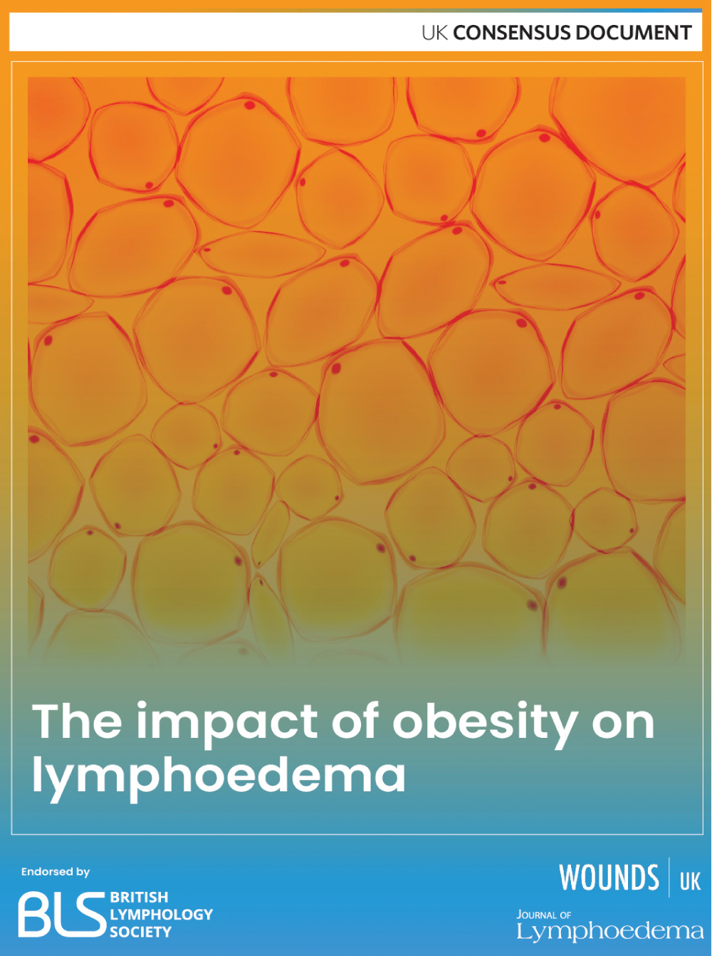Impact-of-obesity-les
